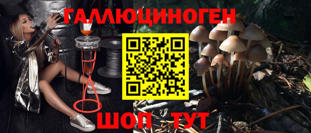 Псилоцибиновые грибы MAGIC MUSHROOMS  Псилоцибиновые грибы мицелий  Тихорецк  Вход с VPN 