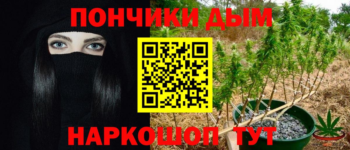 Тихорецк  Шишки марихуана сатива  Вход с VPN  Конопля Ganja  МАРИХУАНА индика  Каннабис Amnesia 